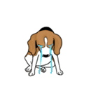 Enjoy Beagle(Beagle Animation)（個別スタンプ：16）