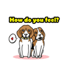 Enjoy Beagle(Beagle Animation)（個別スタンプ：22）
