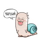 Snail smile gentle（個別スタンプ：8）