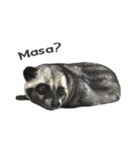 Mumu the Cute Asian Palm Civet（個別スタンプ：12）