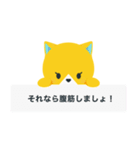 腹筋するネコのゴホーニャ「イエロ」（個別スタンプ：32）