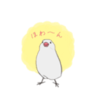気まぐれ白文鳥（個別スタンプ：1）