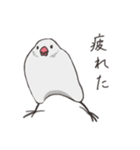 気まぐれ白文鳥（個別スタンプ：9）