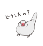 気まぐれ白文鳥（個別スタンプ：10）
