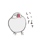 気まぐれ白文鳥（個別スタンプ：13）
