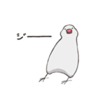気まぐれ白文鳥（個別スタンプ：14）