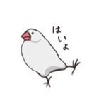 気まぐれ白文鳥（個別スタンプ：15）