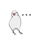 気まぐれ白文鳥（個別スタンプ：17）