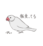 気まぐれ白文鳥（個別スタンプ：21）