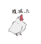 気まぐれ白文鳥（個別スタンプ：22）