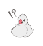 気まぐれ白文鳥（個別スタンプ：23）