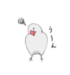 気まぐれ白文鳥（個別スタンプ：24）