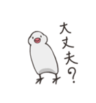 気まぐれ白文鳥（個別スタンプ：25）