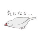 気まぐれ白文鳥（個別スタンプ：32）