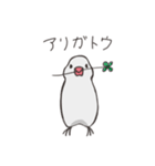 気まぐれ白文鳥（個別スタンプ：34）