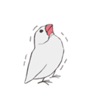 気まぐれ白文鳥（個別スタンプ：35）