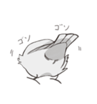 気まぐれ白文鳥（個別スタンプ：38）