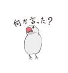 気まぐれ白文鳥（個別スタンプ：40）