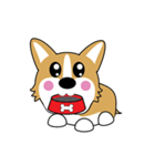 baby fat dog - corgi（個別スタンプ：4）