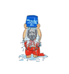 Indian Master（個別スタンプ：34）