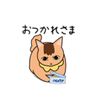 ちゃいろ と しろくろのねこ2（個別スタンプ：2）