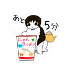 ちゃいろ と しろくろのねこ2（個別スタンプ：6）
