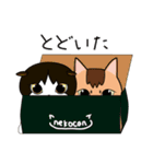 ちゃいろ と しろくろのねこ2（個別スタンプ：11）
