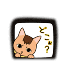 ちゃいろ と しろくろのねこ2（個別スタンプ：12）