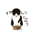 ちゃいろ と しろくろのねこ2（個別スタンプ：14）