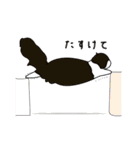 ちゃいろ と しろくろのねこ2（個別スタンプ：22）