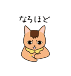 ちゃいろ と しろくろのねこ2（個別スタンプ：32）