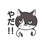 日常会話で使えるゆるいねこ（個別スタンプ：25）