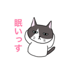 日常会話で使えるゆるいねこ（個別スタンプ：39）