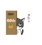 日常会話で使えるゆるいねこ（個別スタンプ：40）