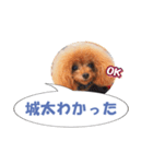 ふきだしファン（個別スタンプ：9）