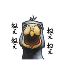 愛らしすぎるハシビロコウ（個別スタンプ：1）