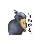 愛らしすぎるハシビロコウ（個別スタンプ：13）
