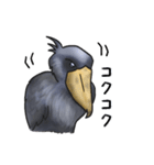 愛らしすぎるハシビロコウ（個別スタンプ：14）
