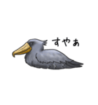 愛らしすぎるハシビロコウ（個別スタンプ：17）