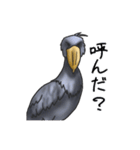 愛らしすぎるハシビロコウ（個別スタンプ：20）