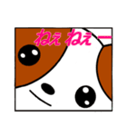パピヨン犬 ゆるパール♪ 第2弾（個別スタンプ：3）