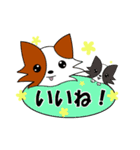 パピヨン犬 ゆるパール♪ 第2弾（個別スタンプ：12）