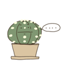 cactus fam（個別スタンプ：1）