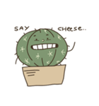 cactus fam（個別スタンプ：7）