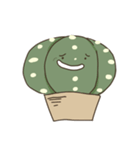 cactus fam（個別スタンプ：16）