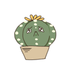cactus fam（個別スタンプ：17）