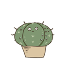 cactus fam（個別スタンプ：19）