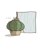 cactus fam（個別スタンプ：25）