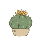 cactus fam（個別スタンプ：40）