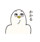 くどいカオのトリ（個別スタンプ：4）